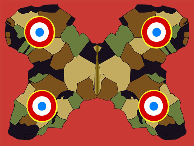 Papillon aux formes de l'Afrique avec des couleurs camouflage et des cocardes franaises